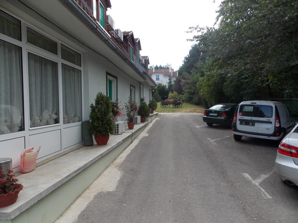 B&B Villa Evandjelina Sremska Kamenica Exterior foto